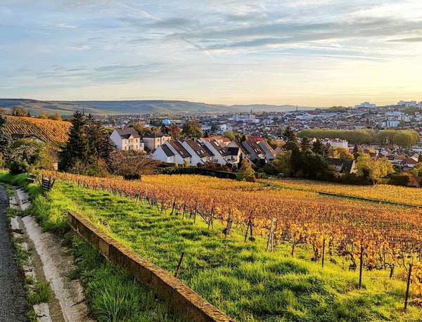 Stepping off the ladder – Champagne's Grand and Premier Crus