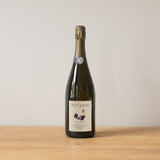 Pinot Noir Exploration