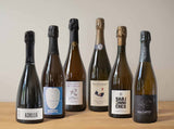 Pinot Noir Exploration
