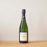 Non-Vintage Exploration