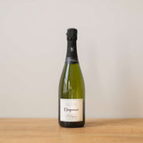 J.L. Vergnon Eloquence