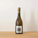 Chardonnay Exploration