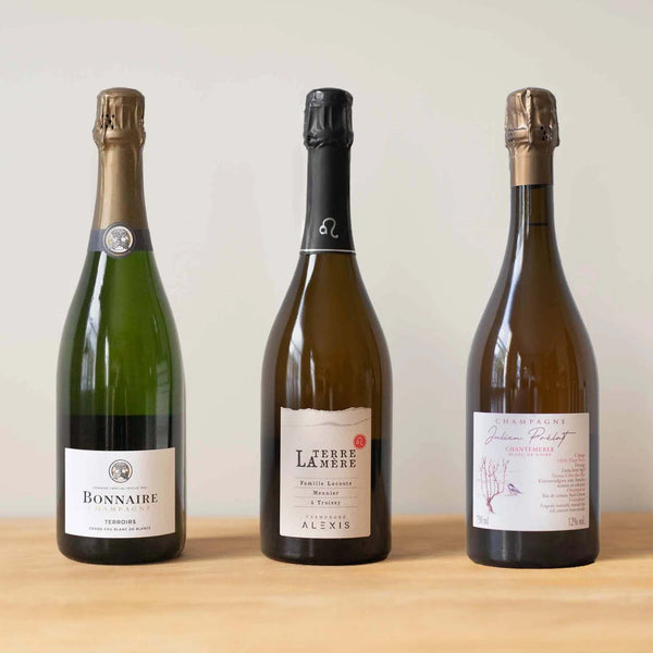 Artisan Champagne Introduction