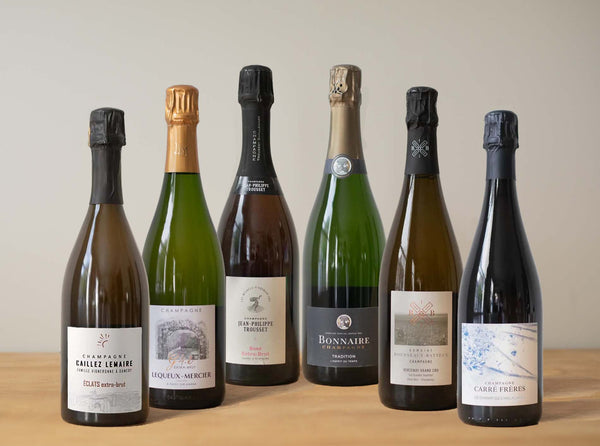 Blended Champagne Exploration