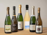 Chardonnay Exploration