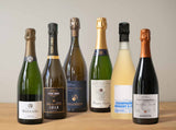 Chardonnay Exploration