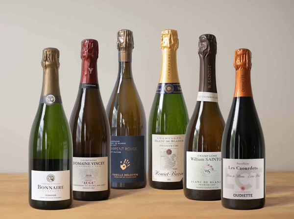 Chardonnay Exploration